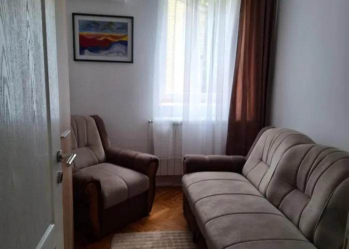 Demetra Sremska Mitrovica